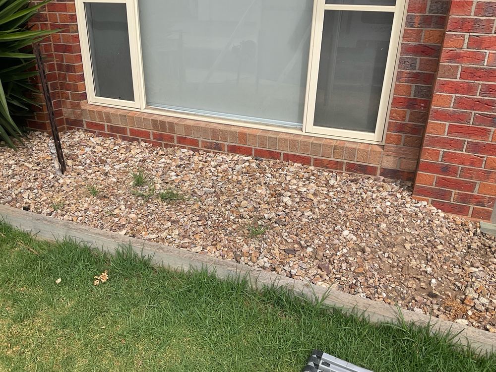 Termites and pest risk, Strathtulloh