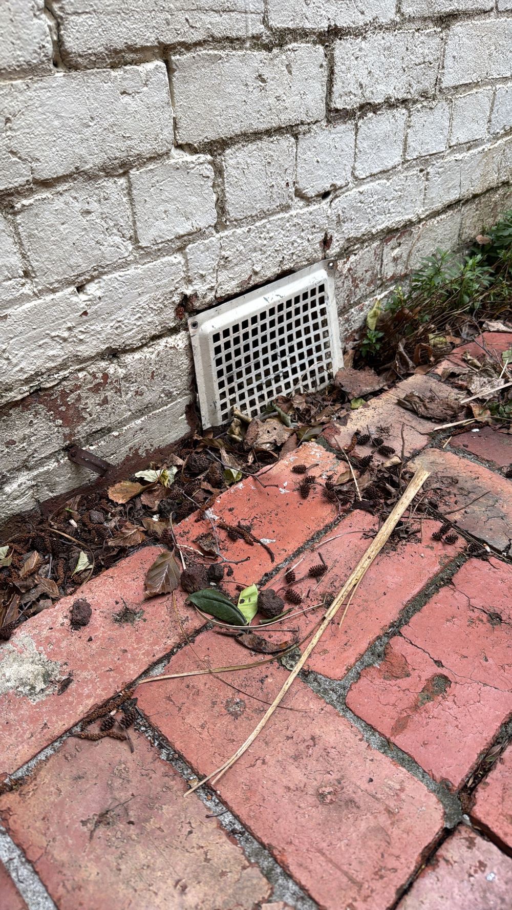 Subfloor vent sitting almost at ground level, limiting airflow, found during a building and pest inspection in Hawthorn